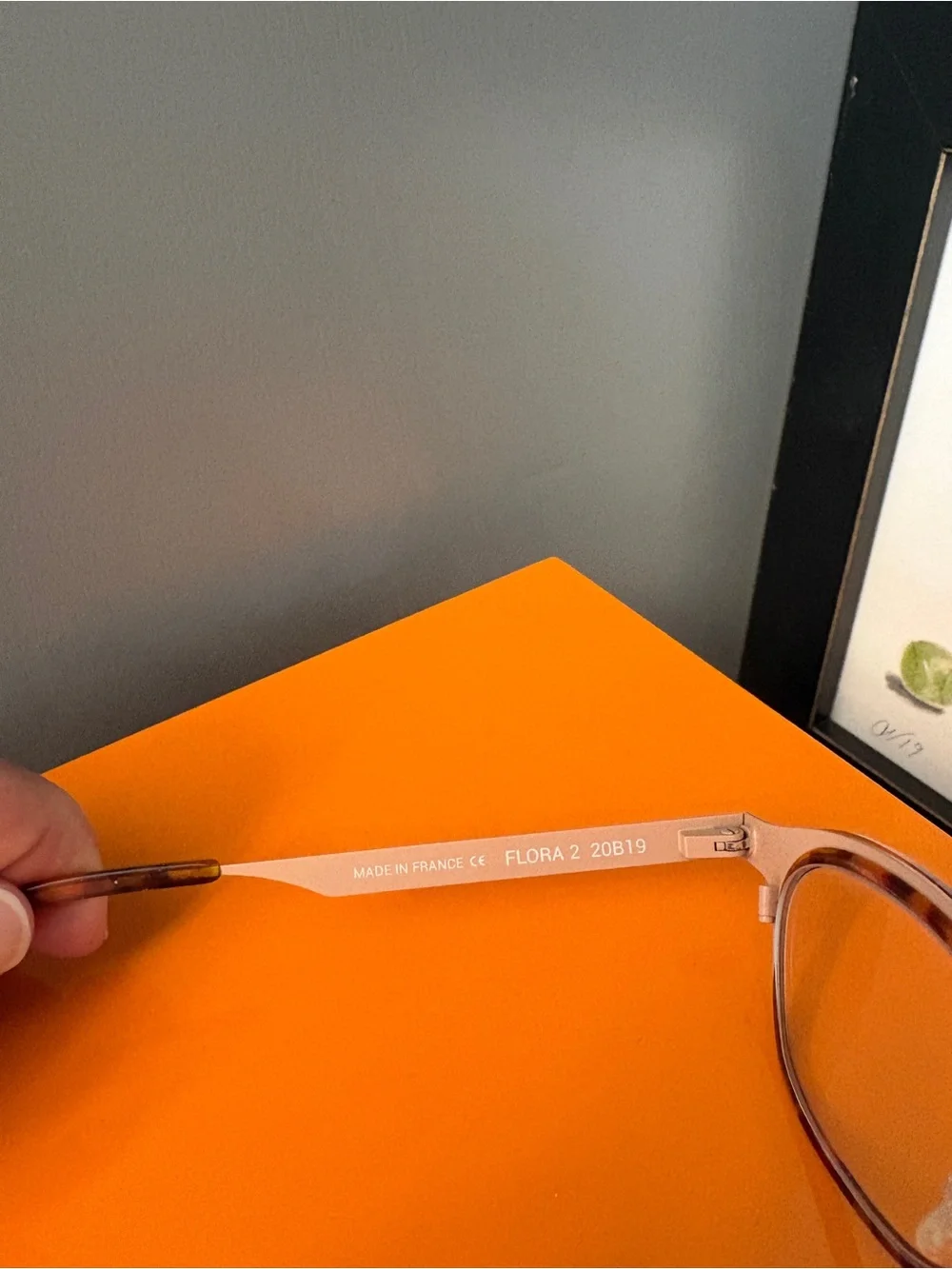 Anne et Valentin “Flora 2” 20B19 Eyeglasses — Tortoise Acetate, Blush Metal